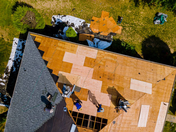 Best Roof Gutter Cleaning  in New Boston, OH