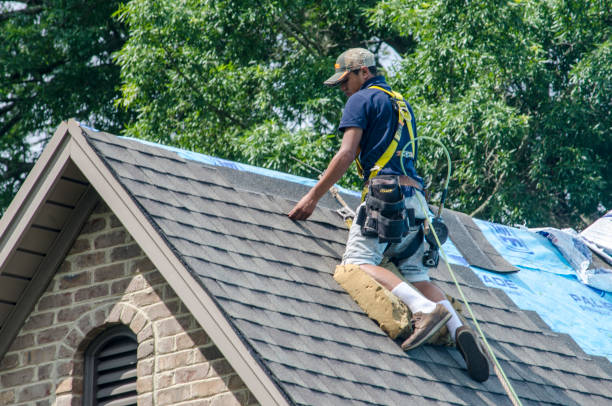 Best Roof Restoration Services  in New Boston, OH